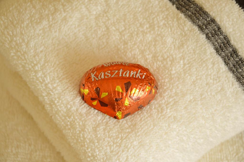 卡齐米日-多尔尼Dom Pod Kasztanami公寓 外观 照片